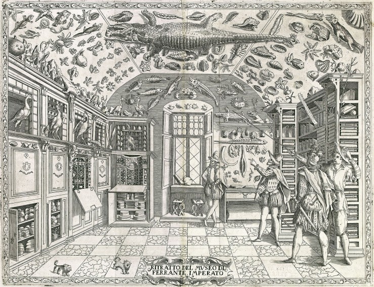 Fold-out engraving from Ferrante Imperato's Dell'Historia Naturale (Naples 1599), the earliest illustration of a natural history cabinet